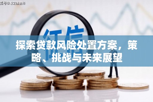 息县探索贷款风险处置方案，策略、挑战与未来展望