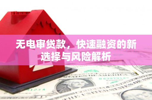 息县无电审贷款，快速融资的新选择与风险解析