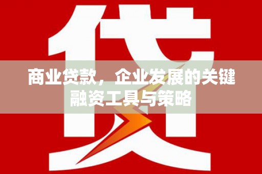 息县商业贷款，企业发展的关键融资工具与策略
