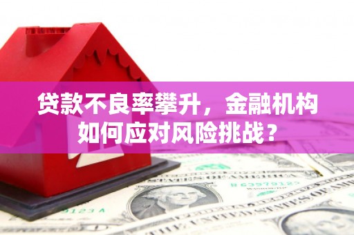 息县贷款不良率攀升，金融机构如何应对风险挑战？