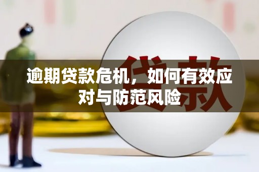 息县逾期贷款危机，如何有效应对与防范风险
