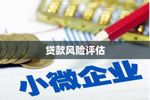 息县贷款风险评估