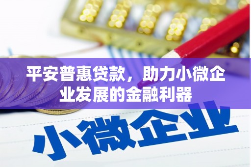 息县平安普惠贷款，助力小微企业发展的金融利器