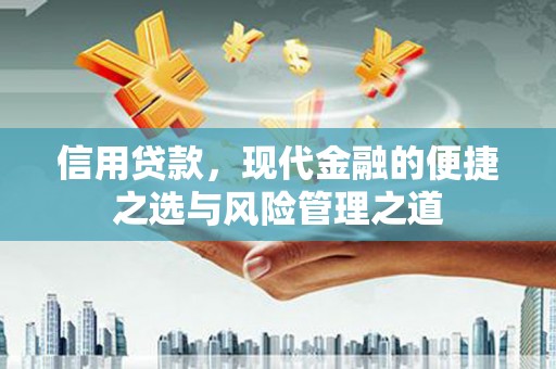 息县信用贷款，现代金融的便捷之选与风险管理之道