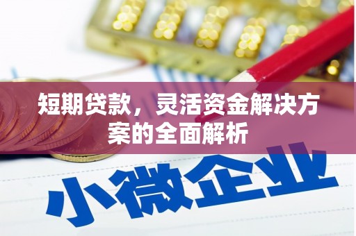 息县短期贷款，灵活资金解决方案的全面解析