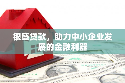 息县银盛贷款，助力中小企业发展的金融利器