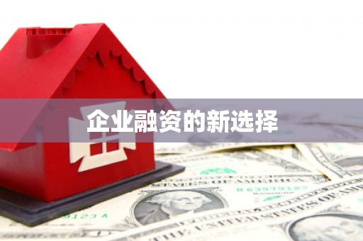 息县企业融资的新选择