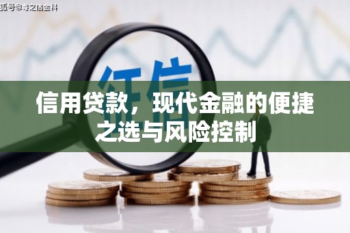息县信用贷款，现代金融的便捷之选与风险控制