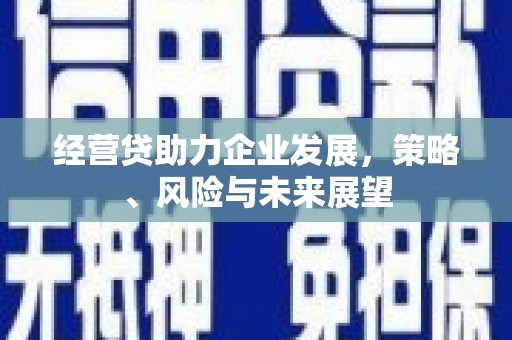 息县经营贷助力企业发展，策略、风险与未来展望