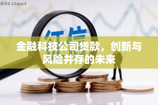 息县金融科技公司贷款，创新与风险并存的未来