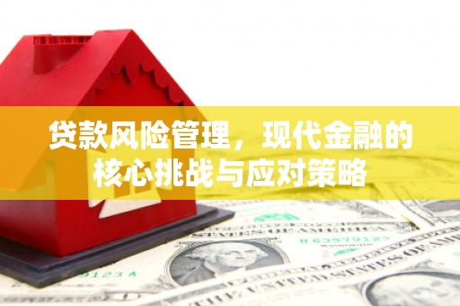 息县贷款风险管理，现代金融的核心挑战与应对策略