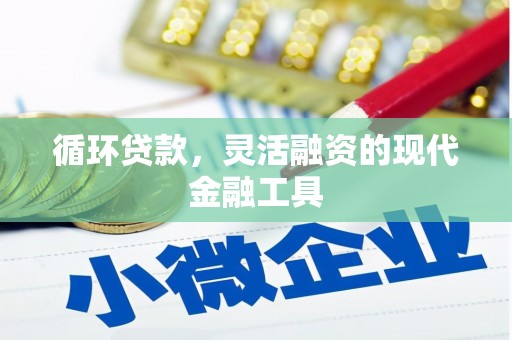 息县循环贷款，灵活融资的现代金融工具