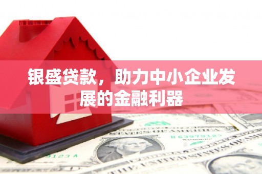 息县银盛贷款，助力中小企业发展的金融利器