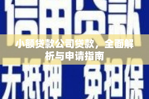 息县小额贷款公司贷款，全面解析与申请指南