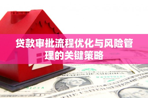 息县贷款审批流程优化与风险管理的关键策略