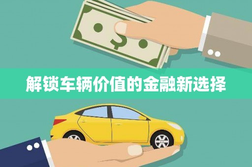 息县解锁车辆价值的金融新选择