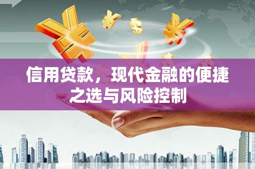 息县信用贷款，现代金融的便捷之选与风险控制