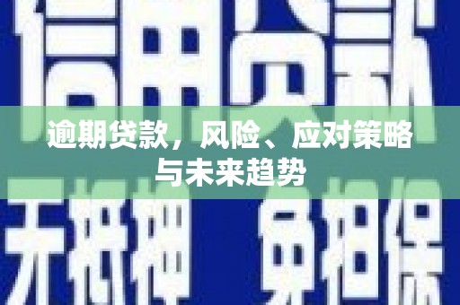 息县逾期贷款，风险、应对策略与未来趋势