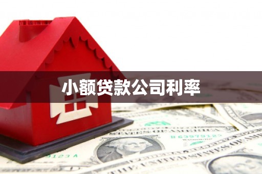 息县小额贷款公司利率