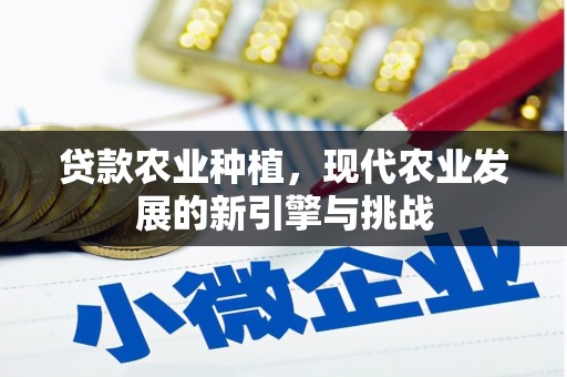 息县贷款农业种植，现代农业发展的新引擎与挑战