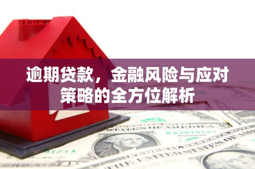 息县逾期贷款，金融风险与应对策略的全方位解析