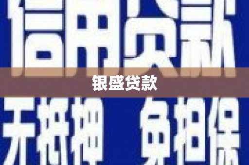 息县银盛贷款