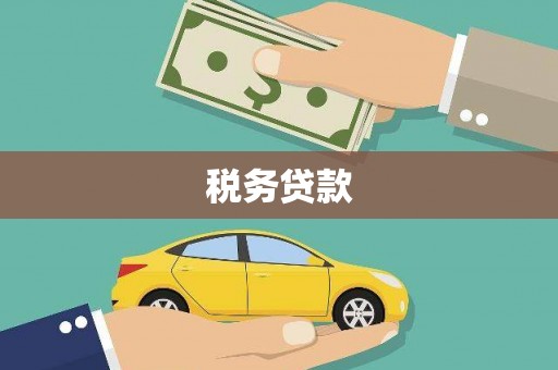 息县税务贷款