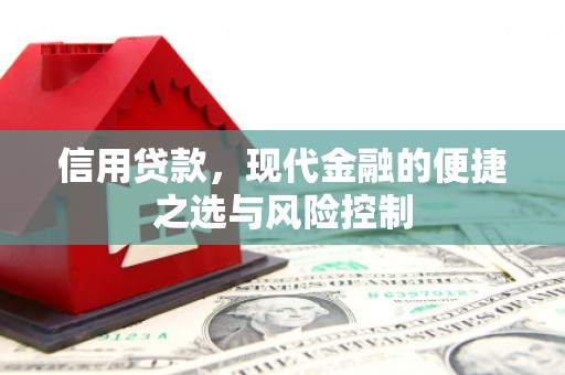 息县信用贷款，现代金融的便捷之选与风险控制