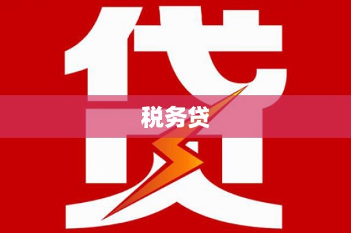 息县税务贷