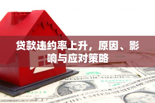 息县贷款违约率上升，原因、影响与应对策略
