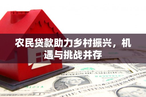 息县农民贷款助力乡村振兴，机遇与挑战并存