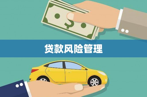 息县贷款风险管理