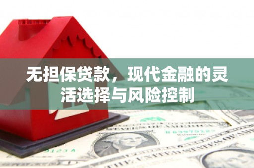 息县无担保贷款，现代金融的灵活选择与风险控制