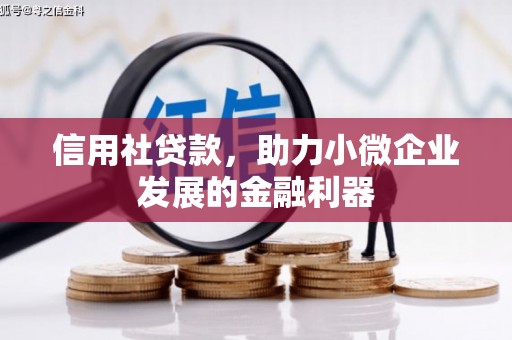 息县信用社贷款，助力小微企业发展的金融利器