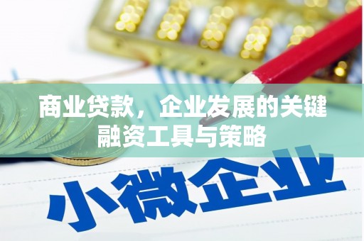息县商业贷款，企业发展的关键融资工具与策略
