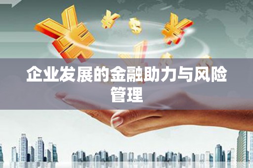 息县企业发展的金融助力与风险管理