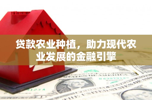 息县贷款农业种植，助力现代农业发展的金融引擎