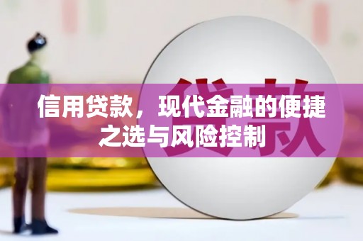 息县信用贷款，现代金融的便捷之选与风险控制