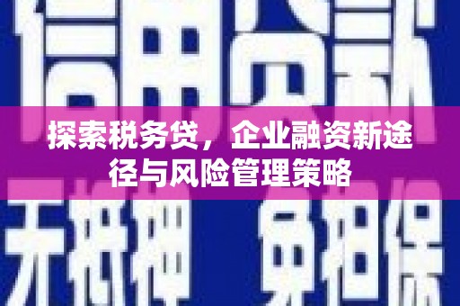 息县探索税务贷，企业融资新途径与风险管理策略