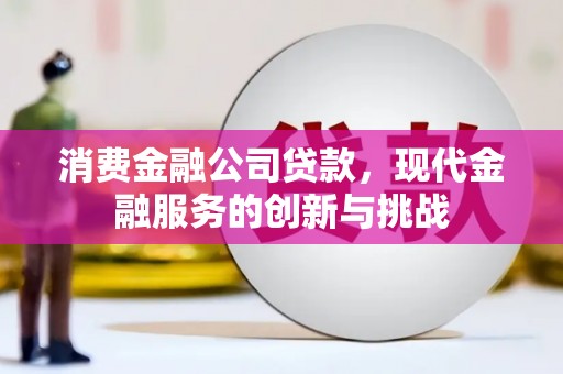 息县消费金融公司贷款，现代金融服务的创新与挑战