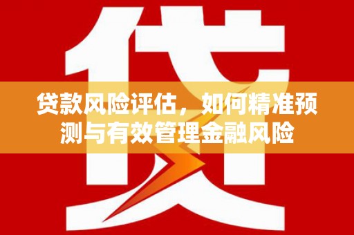 息县贷款风险评估，如何精准预测与有效管理金融风险