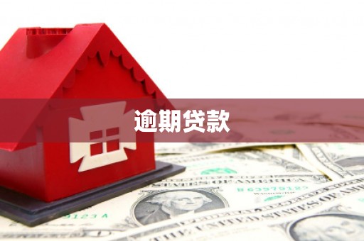 息县逾期贷款
