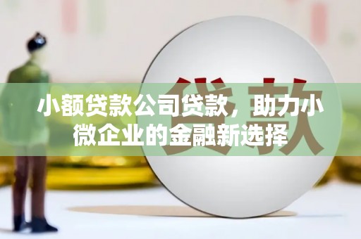 息县小额贷款公司贷款，助力小微企业的金融新选择