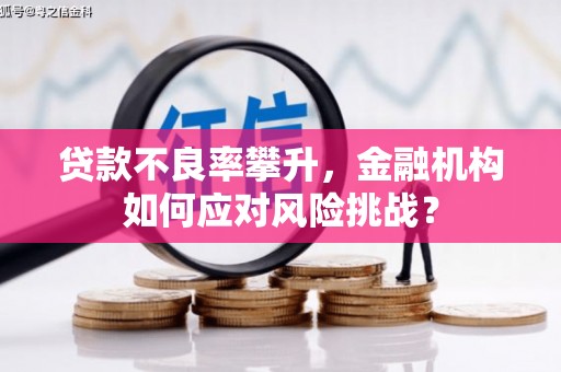 息县贷款不良率攀升，金融机构如何应对风险挑战？
