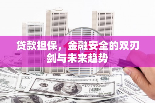 息县贷款担保，金融安全的双刃剑与未来趋势