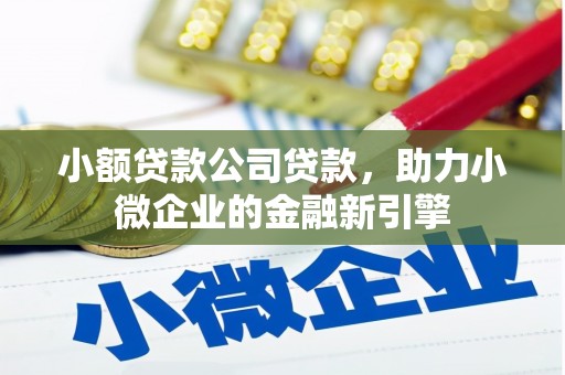 息县小额贷款公司贷款，助力小微企业的金融新引擎