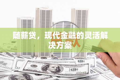 息县随薪贷，现代金融的灵活解决方案