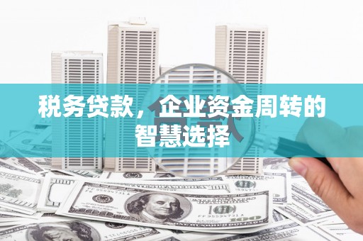 息县税务贷款，企业资金周转的智慧选择