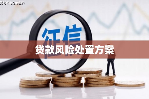 息县贷款风险处置方案