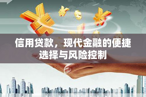 息县信用贷款，现代金融的便捷选择与风险控制
